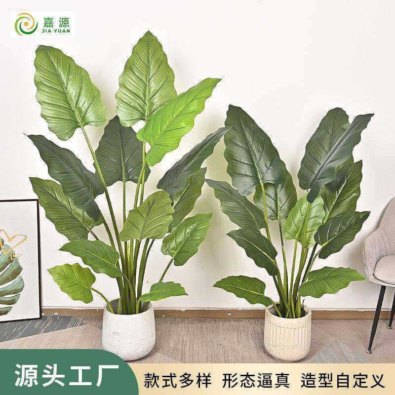 仿真绿帝王高端仿生客厅大型室内摆件商场橱窗落地装饰盆景绿植