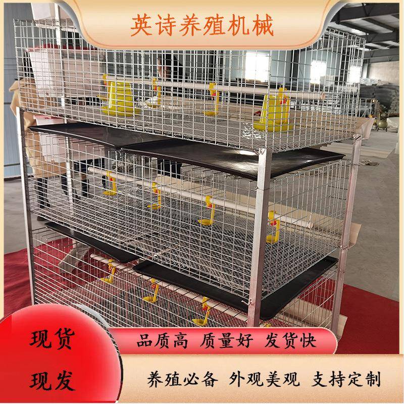 四层立式育雏笼小鸡笼畜牧专业养鸡设备镀锌防锈鸡笼子量大从优