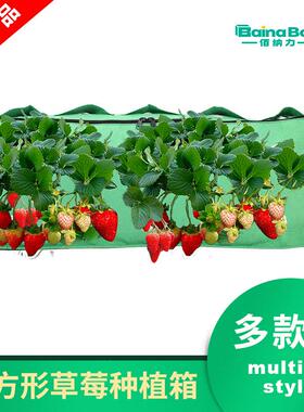 厂家定 制无纺布长方形多口草莓种植箱家庭阳台蔬果植物栽培花盆