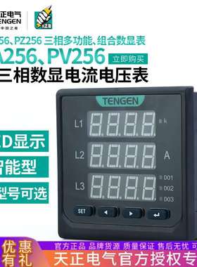 天正PA256L电流表PV256L电压表400V三相5A数显PD256L多功能组合表