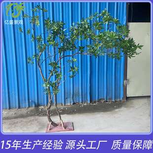 仿真马醉木造景 室内酒店景区楼梯下人造仿真植物造景 仿生马醉木