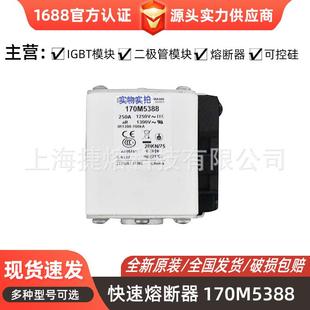 170M5398 器件 快速熔断器 电子元 量大价优 保险丝 170M5388