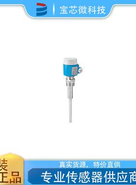 瑞士E+H恩德斯豪斯 音叉料位开关 型号FTM20- VG25A