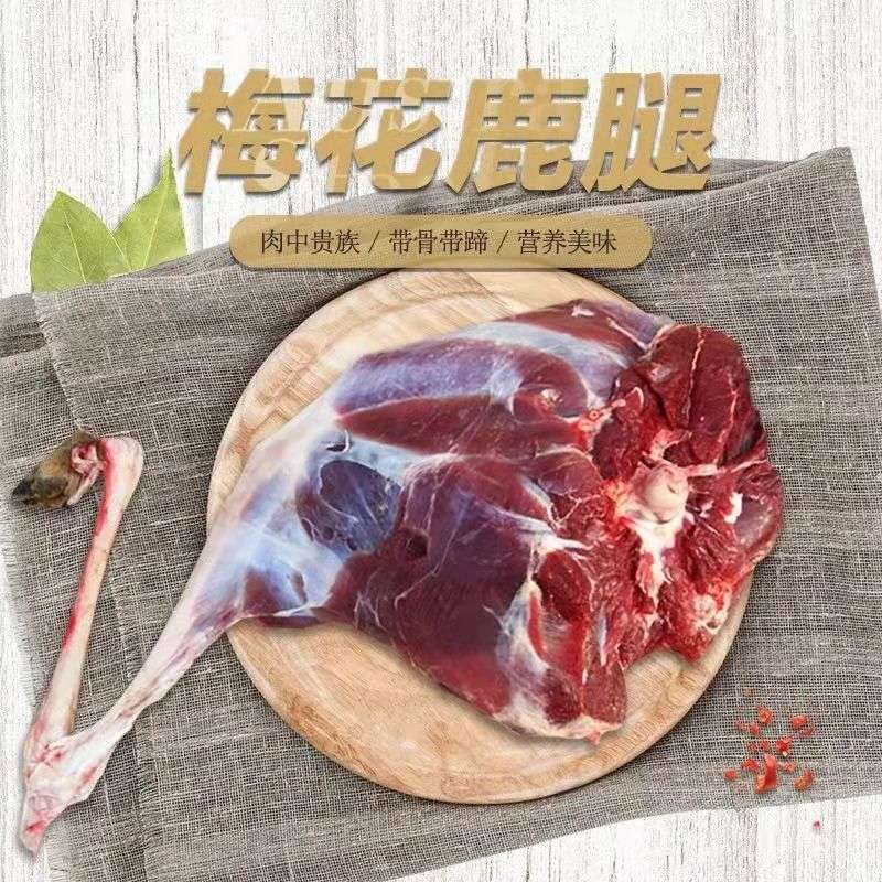 梅花鹿腿整只新鲜鹿腿肉东北特产鹿肉新鲜鹿场直销白条鹿整扇鹿排