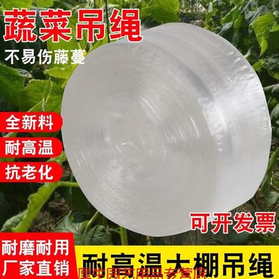 网吊绳状绳子耐高温绳捆扎绳老化吊菜秧蔓网塑料大吊吊带防棚平板