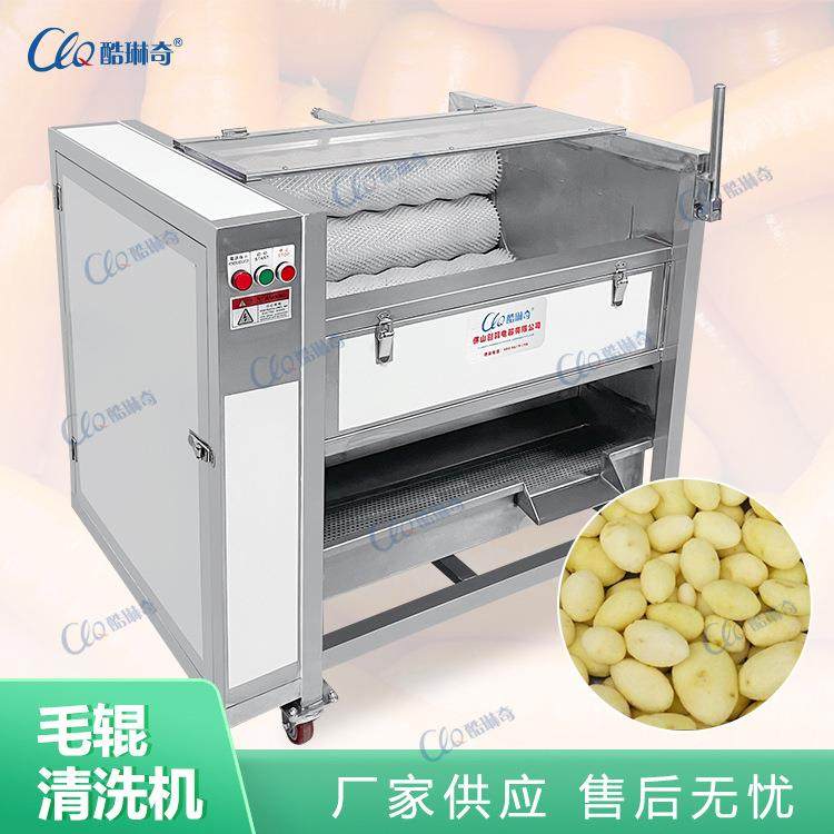 Z广东湛江生蚝鲍鱼毛辊清洗机毛刷辊芋头清洗磨皮机量大从优,清洗/食品/商业设备,其他食品加工设备,淘宝优惠券,粉丝福利购,淘宝优惠卷