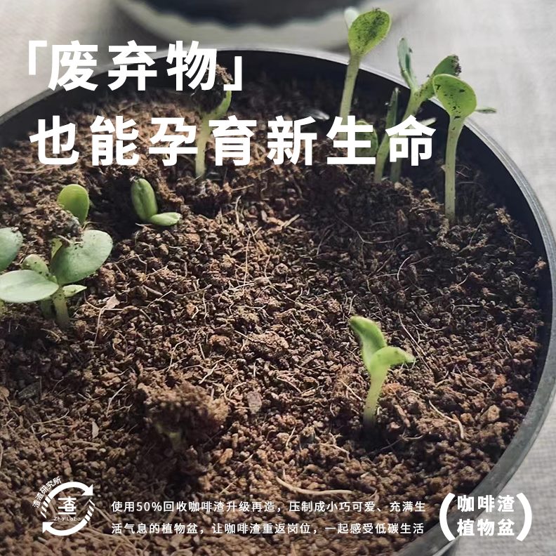 ab办公室桌面o渣h定制环小盆栽花盆alZ绿植咖啡可创意礼品种植保