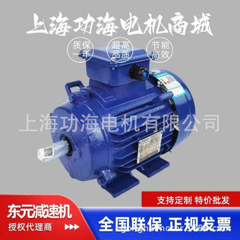 TECO东元电动机 马达 TEV3系列 GB3/IE3能效AEEV3N047R50YW三相