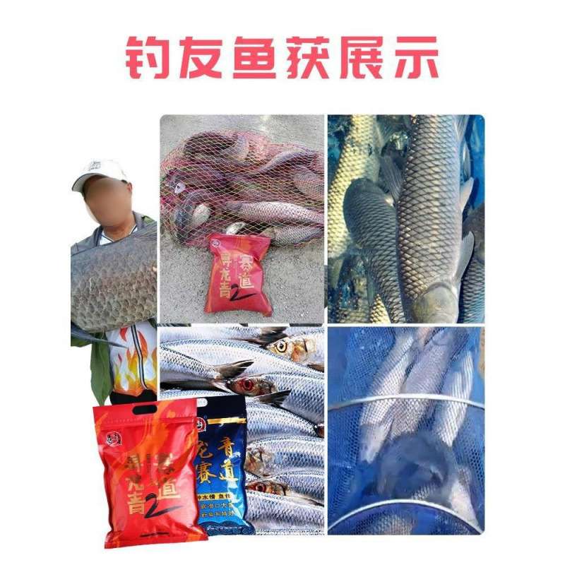 二代寻龙青赛道战青颗粒青鱼专用饵料钓草鱼大青黑坑窝料大物小起