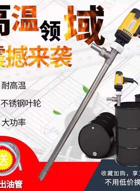 手提式220v电动油抽油桶插捅化工泵抽液器耐腐蚀高温不锈钢油抽子