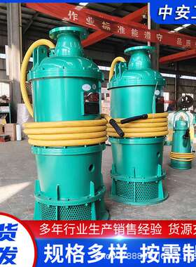 BQS12.5-40/2-3/B 煤矿井下用隔爆型潜水排沙排污电泵 660/1140v