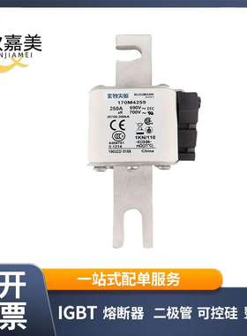 170M4259 170M4260 快速熔断器  电子元器件 库存充足 量大价优