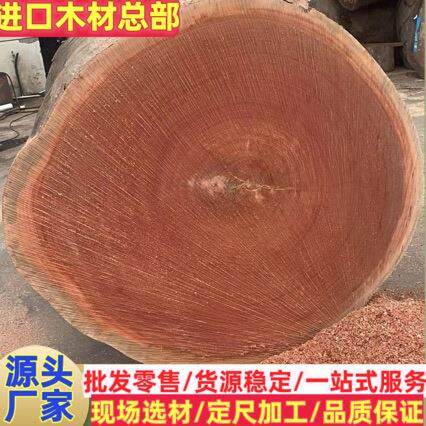 大径红柳桉 剥皮桉 马油原木古建工程棺木寿材木棒 安东 金丝黄檀