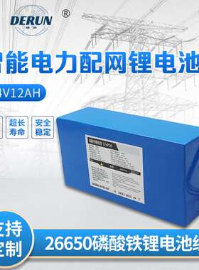 跨境工厂FTU25.6V12Ah信息传输终端电源在线检测系统电池磷酸铁锂