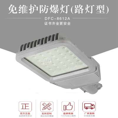 IP66LED防爆路灯头50W60W80W100W120W灯杆60管径户外投光灯防水