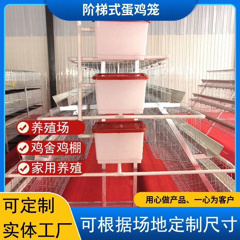 四层五层蛋鸡笼三层四门三层五门阶梯式蛋鸡笼四层四门蛋鸡笼