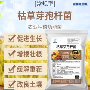 业盛旺生物枯草芽孢杆菌根腐病枯萎抗重茬促增长抗病姜瘟病
