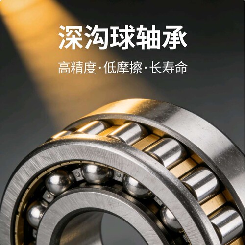 恩梯恩轴承 6306 6307 6308 6309 6310Z ZZ LLU 进口轴承
