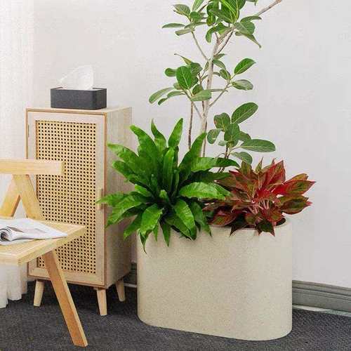 新款圆角镁泥花盆椭圆形水泥花盆长条花箱马槽北欧风绿植隔断盆景