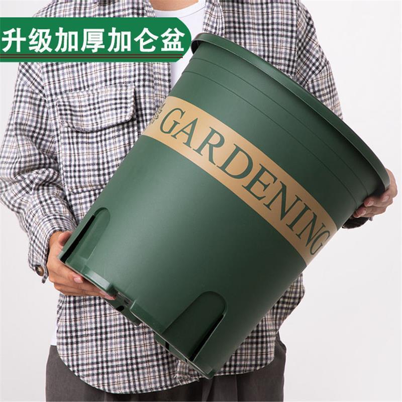 控根加仑盆控根盆栽多肉绿萝月季种植育苗塑料二代花盆厂家直销