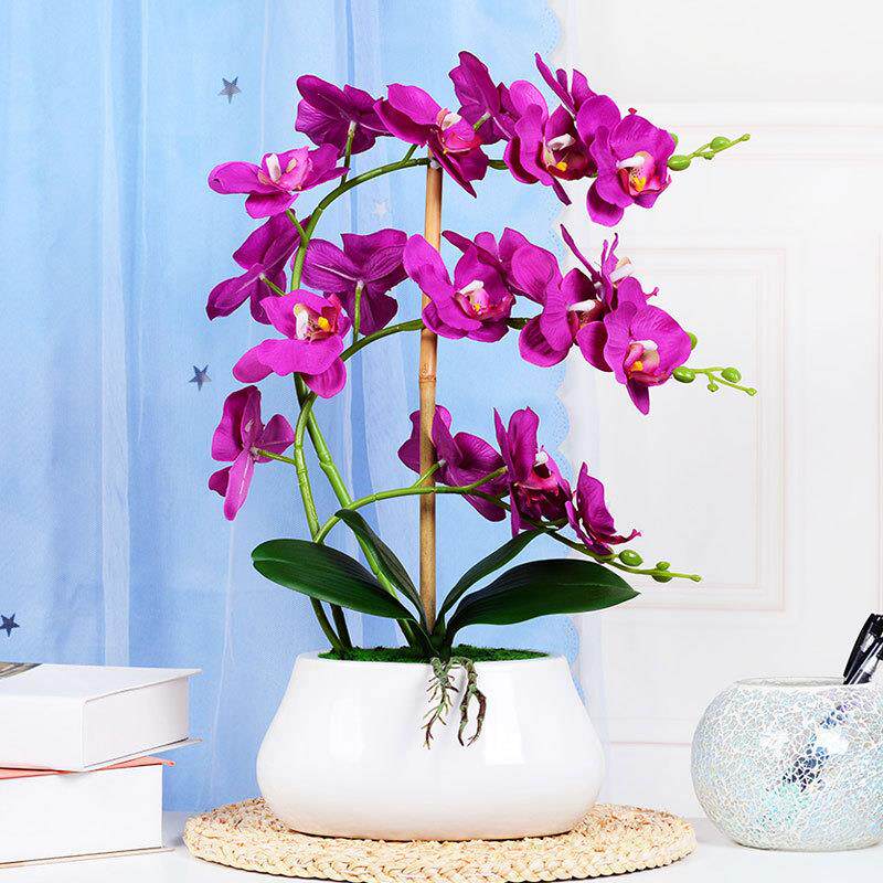 蝴蝶兰仿真花套装假花绢花塑料花盆景家居客厅茶几电视柜装饰摆设