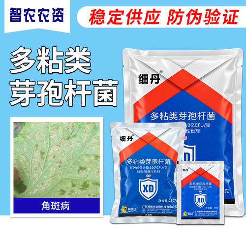 细丹10亿CFU/克多粘类芽胞杆菌
