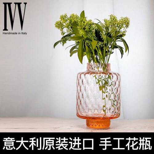 意大利ivv花瓶摆件客厅插花玻璃透明北欧创意简约水养插花器大号