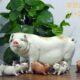 猪肥石 生肖工艺品陶瓷屋 湾公仔润 家