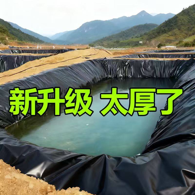 鱼塘防渗膜蓄水池黑色防水布鱼池护坡防漏土工膜养殖专用加厚地膜,农机/农具/农膜,农用薄膜,淘宝优惠券,粉丝福利购,淘宝优惠卷