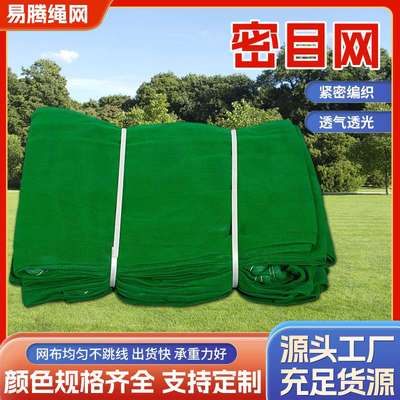 阻燃密目网 厂家直供建筑网工地防护网绿色安全网安全立网国标网