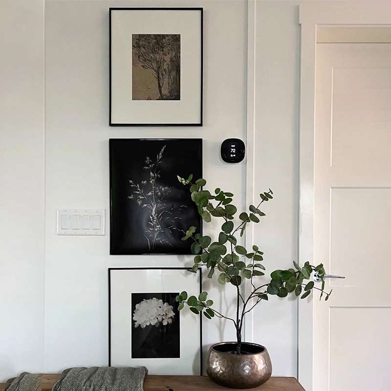 复古植物艺术装饰画简约新中式客厅餐厅摆画壁画玄关卧室挂画光影图片