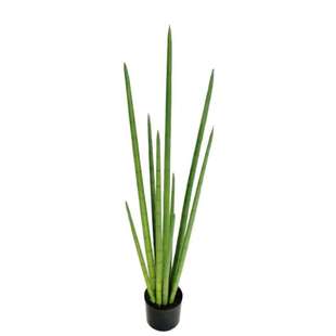 仿真龙骨仙人掌龙尾草蛇草盆栽长青草热带沙漠植物造景多肉假草