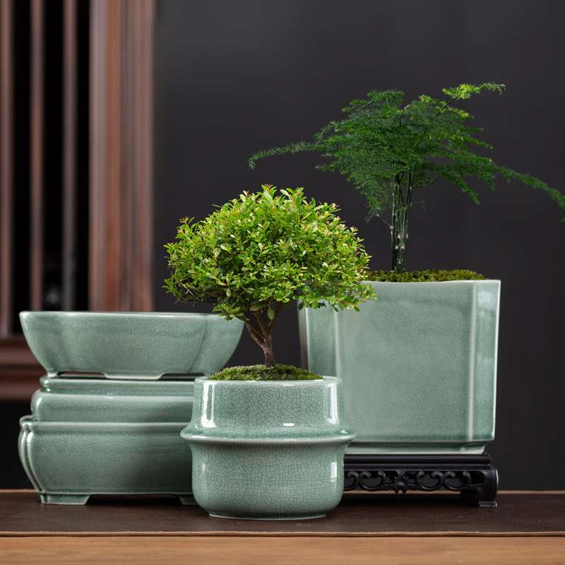 多肉的花盆陶瓷创意长方形蝴蝶兰盆景花盆家用文竹六月雪盆栽