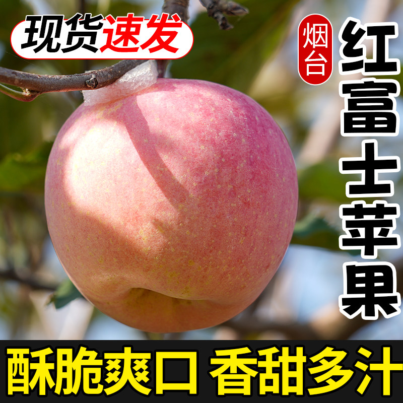 新果正宗烟台红富士苹果栖霞萍果10斤水果新鲜应当季脆甜
