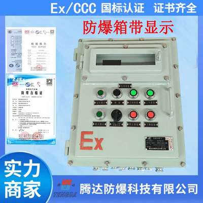 防爆箱带显示操作箱厂家隔爆型温控仪表箱外控型操作箱 腾达