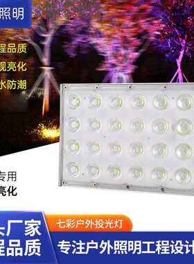 彩色投光灯led射灯户外防水灯景观绿化照树灯庭院黄绿园林花园灯