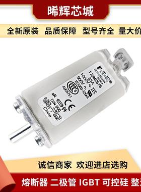 170M2676 170M2677 直流快速熔断器 量大从优 原装现货型号齐全