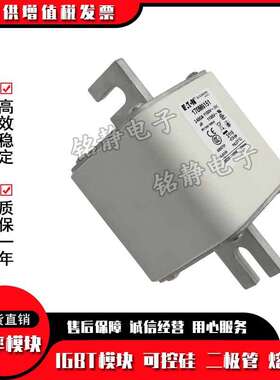 170M6188 170M6189 170M6190 170M6191巴斯曼170M6192熔断器现货