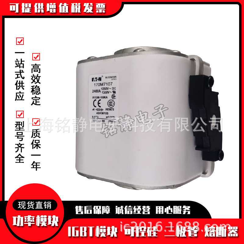 170M7118 170M7119 170M7120 170M7121 170M7122巴斯曼熔断器