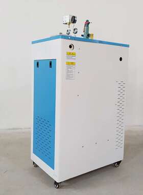 桥梁36KW 48KW养护蒸汽发生器 混凝土预制件冬季蒸养棚