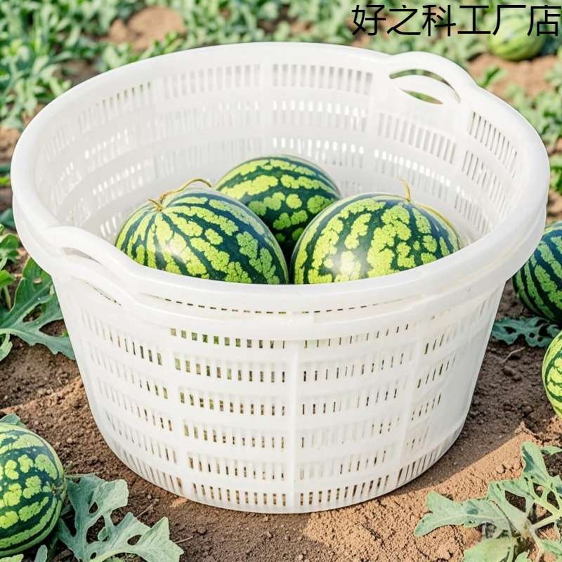 白色镂空装西瓜筐周转筐圆形胶水果蔬菜塑料框子大号