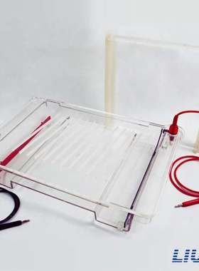 北京六一DYCP-32C琼脂糖水平电泳仪 核酸电泳仪 电泳槽(大号)