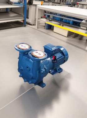 15KW真空泵鄂尔多斯2BV水环式真空泵循环水真空泵水环式真SK1.5B