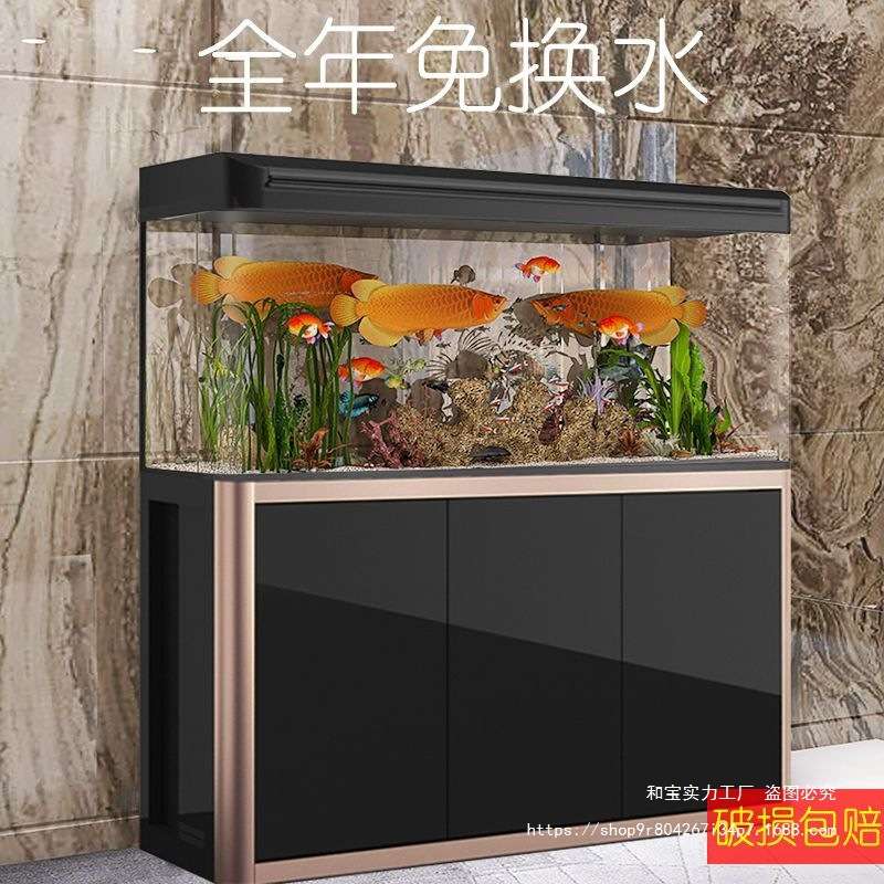 中小型鱼缸一整套套装家庭办公室带柜子热弯鱼缸客厅鱼缸家用全套