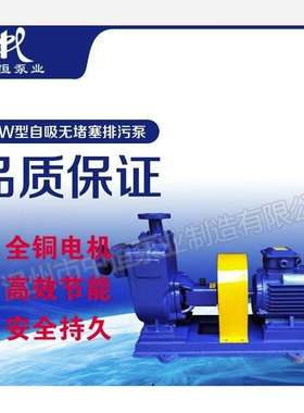 中恒泵业厂家供应ZW32-10-20污水泵自吸泵无堵塞排污泵化工离心泵