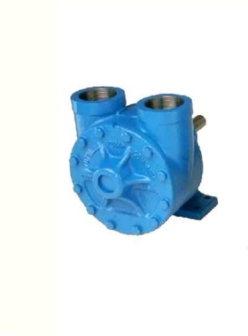 Tuthill 泰悉尔 # 2LEV-C-A-7-88519 齿轮泵，带脚 Viton 铸铁泵