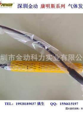 发电机火花塞型号12301641 1234755  12452074  1245835 12344843