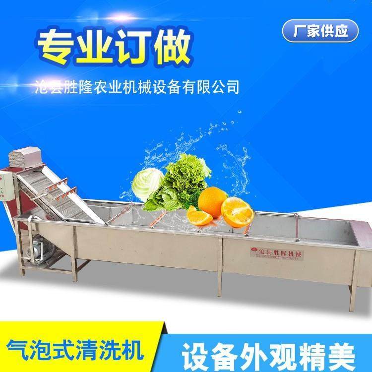 苹果鼓泡清洗机多功能蔬果蔬气泡清洗设备适用蔬菜水果杀青机