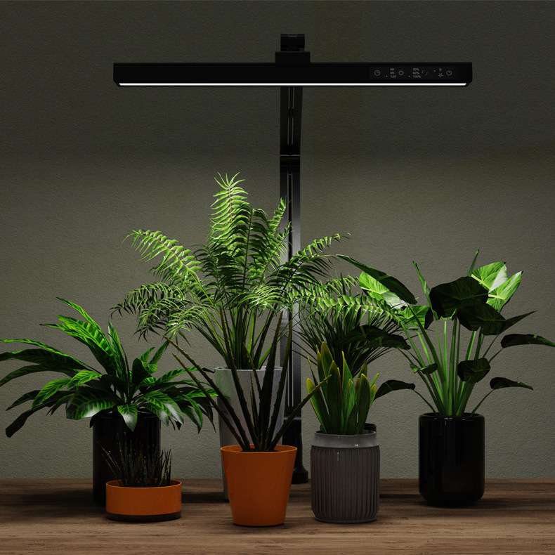 植物台灯可折叠磁吸插电可定时两个模式亮度可调