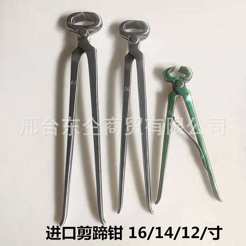 修马蹄工具 马蹄钳 牛羊钳子剪子16/14/12 马房用品马术马具